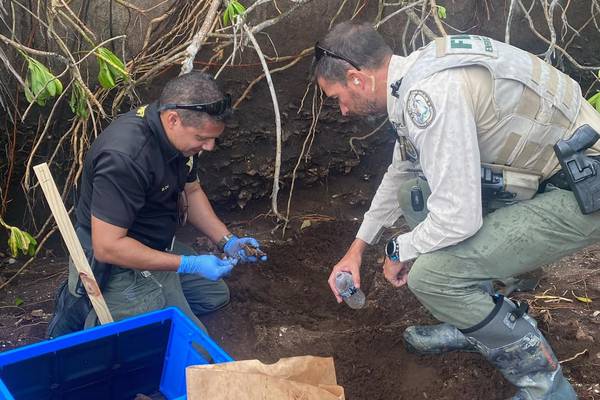 Hurricane Nicole unearths possible burial ground in Florida