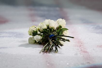 Ice skaters performing